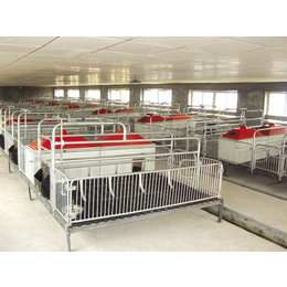 烟台养猪设备-自动化畜牧设备-养猪设备生产厂家