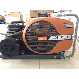 原装进口CO6P-I加拿大充气泵 潜水充气泵 