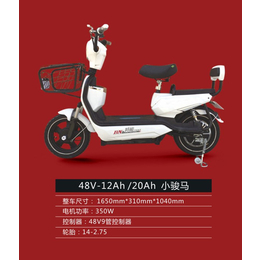 邦能电动车(在线咨询)-淮南电动自行车-折叠电动自行车价格
