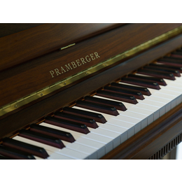 湘西国产钢琴总代在哪里-买钢琴，找长沙蓝音