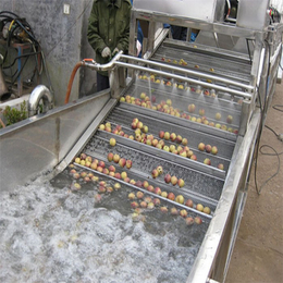 芒果清洗机批发价格-汇康食品机械(在线咨询)-平乐芒果清洗机