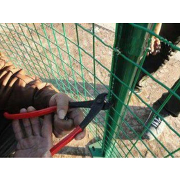平顶山护栏网-超兴金属丝网-养殖护栏网