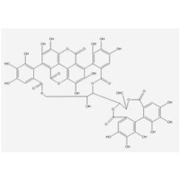 安石榴甙 65995-63-3 对照品