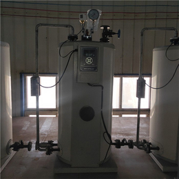燃气蒸汽发生器-隆鑫热能设备-0.3吨燃气蒸汽发生器