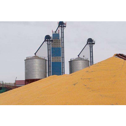 辽宁小麦烘干机-华茂机械-大型小麦烘干机厂家
