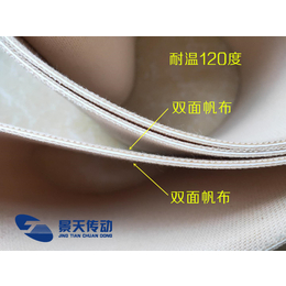 无锡景天传动科技(图)-帆布带厂商-衡阳帆布带