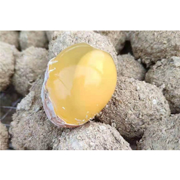 黄金变蛋公司-新东方食品-江西黄金变蛋