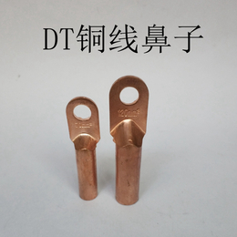 DT-120铜鼻子 堵油铜接头 120平方铜接线端子