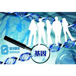 江门新会开平恩平台山个人哪里可以做DNA亲子鉴定