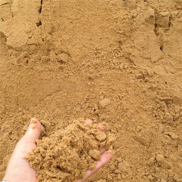 浦江沙子-*建材产品质量好-一方沙子多少钱