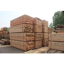 辰丰木材(在线咨询)-樟子松木方-出售樟子松木方