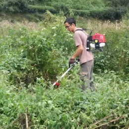 河北省二冲程大功率型手持肩背割草机