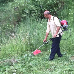 割草机四冲程背负式小型多功能除草机