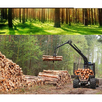 广西木材加工厂讲述木材变质的原因
