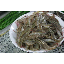 淡水河虾价格-泰州淡水河虾-老经原生农业