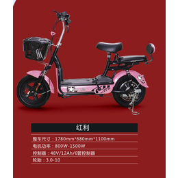 台湾电动自行车- 江苏邦能电动车简易-锂电折叠电动自行车