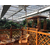 太原空中生态餐厅-太原益兴诚钢构工程-生态餐厅缩略图1