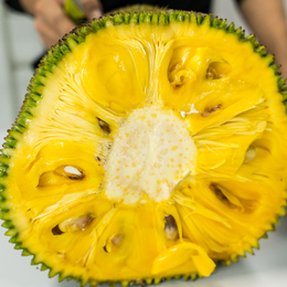 上海水果菠萝蜜新鲜供应22-32斤每个缩略图