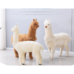 fz羊驼模型羊驼摆件皮毛工艺品道具动物橱窗展示羊驼摆件