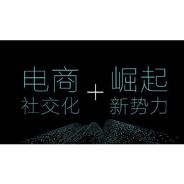 2019中国社交电商展会缩略图