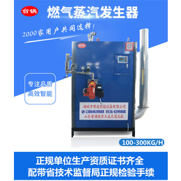 全自动燃气蒸汽发生器报价-台锅锅炉-西藏全自动燃气蒸汽发生器