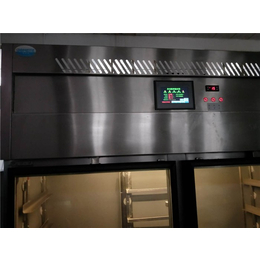 低温解冻设备型号-毕节低温解冻设备- 博美特厨具生产