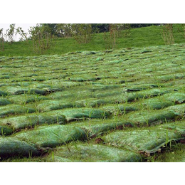 绿化植生袋-植生袋-宏祥股份