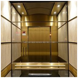 山东鼎亚电梯有无机房乘客电梯销售缩略图