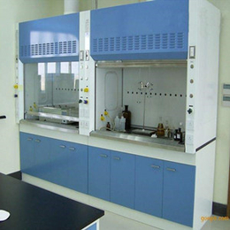 全钢通风柜实验室设备厂家生产*武汉万申和实验室设备