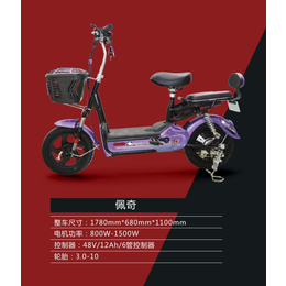 电动自行车- 江苏邦能电动车简易-折叠式电动自行车