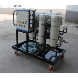 LYC系列自动防爆聚结脱水除杂质精密滤油机大尺寸每小时5立方