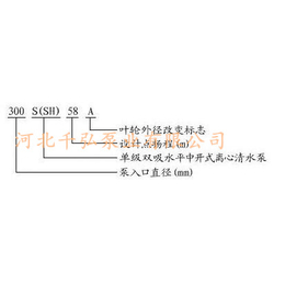 卧式双吸泵-双吸泵-千弘泵业公司(图)