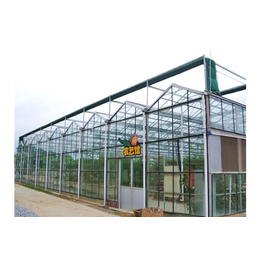 张掖玻璃智能温室-瑞青农林-玻璃智能温室大棚承建