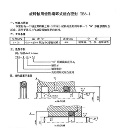 旋转轴用滑环式组合密封TB3-I 四氟旋转油封缩略图