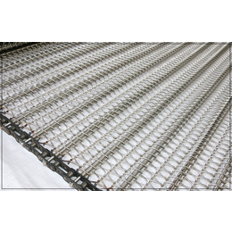 焊边曲轴金属网带-天德乙型输送带-西安金属网带