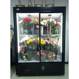 鲜花冷藏柜尺寸-嘉峪关鲜花冷藏柜-必然科技(查看)