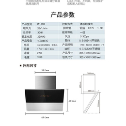 抽油烟机-德国品孚企业-抽油烟机厂家