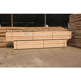 辰丰木材(在线咨询)-湖北铁杉建筑方木-铁杉建筑方木供应