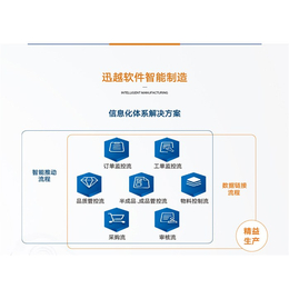 上海迅越软件有限公司(图)-MES公司-无锡MES