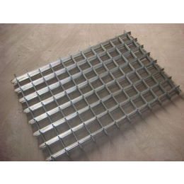 大孔电焊网片-安平圣森-电焊网