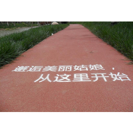北京鲁人景观公司-CS彩色聚合物浓缩封面料