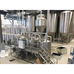 北京啤酒酿造设备+啤酒小型发酵设备厂家