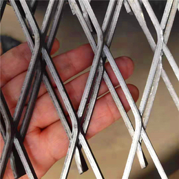 加工定制钢板网-菱形钢板网-钢板网-百鹏丝网(查看)
