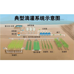 南宁宏振灌溉公司|【灌溉设备】|天等灌溉