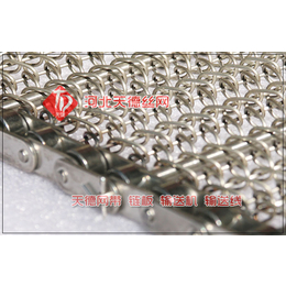 不锈钢网链-型号可定制-辽阳化工设备不锈钢网链设计