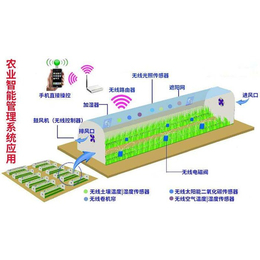 贵贵温室(图)-智能温室工程-宝鸡智能温室