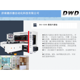 全屋定制厂家*河南新乡 数控六面钻开料机雕刻机DWD