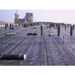 上海防水卷材-壹扬地坪材料-自粘防水卷材价格