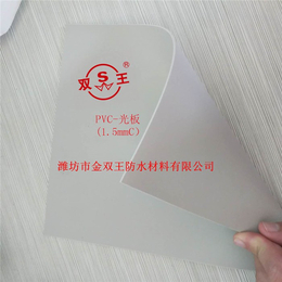 梅州pvc防水卷材规格-金双王防水材料