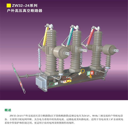 ZW32智能真空断路器 户外柱上10KV高压分界开关看门狗缩略图